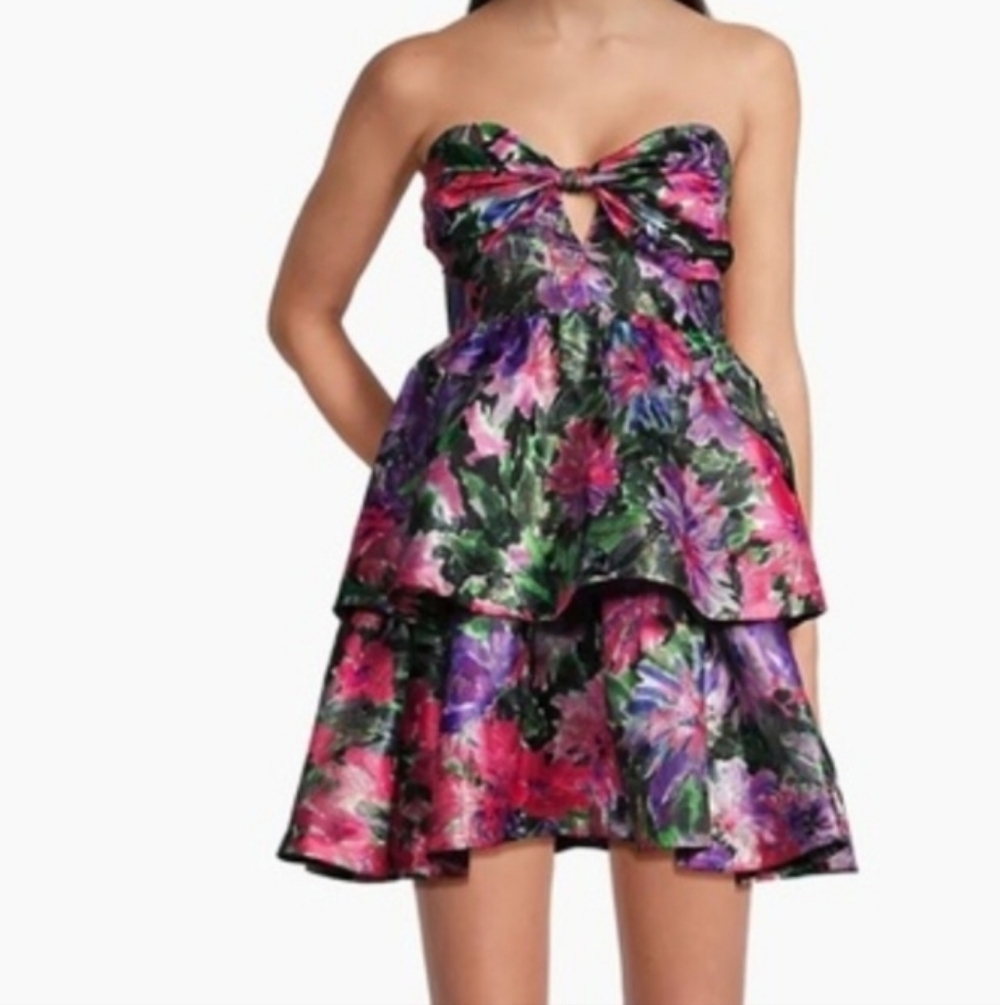 Milly Louisa Garden Floral Strapless Tiered Ruffled Mini Dress. Sz 6
